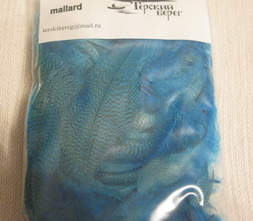 mallard barred flank  lt. blue Terskibereg